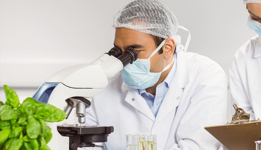 HACCP – Ex libretto sanitario